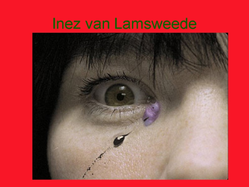 Inez van Lamsweede